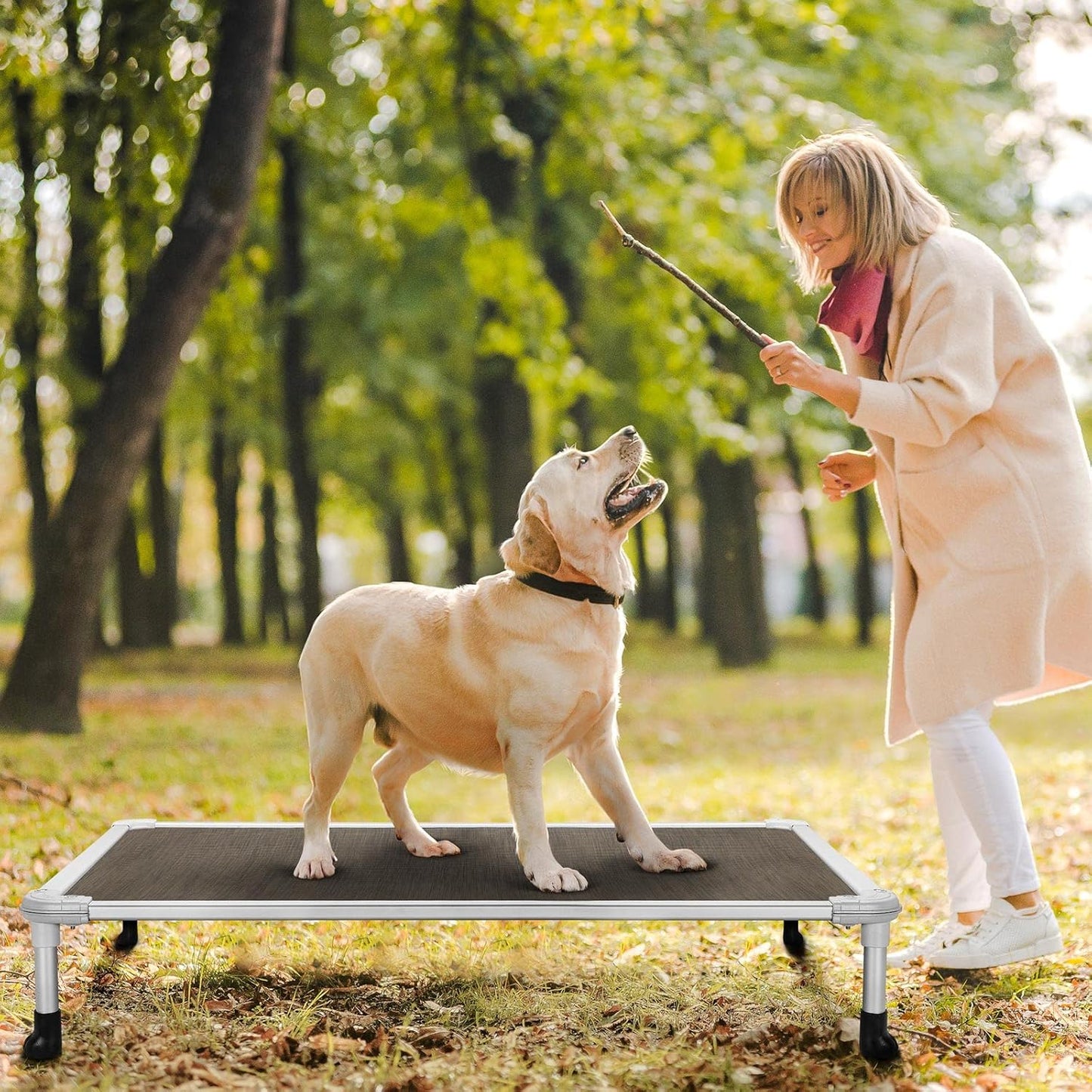 Veehoo Chew Proof Elevated Dog Bed - Cooling Raised Pet Cot - Silver Aluminum Frame and Durable Textilene Mesh Fabric, Unique Designed No-Slip Feet for Indoor or Outdoor Use, Brown, Large, CWC2003