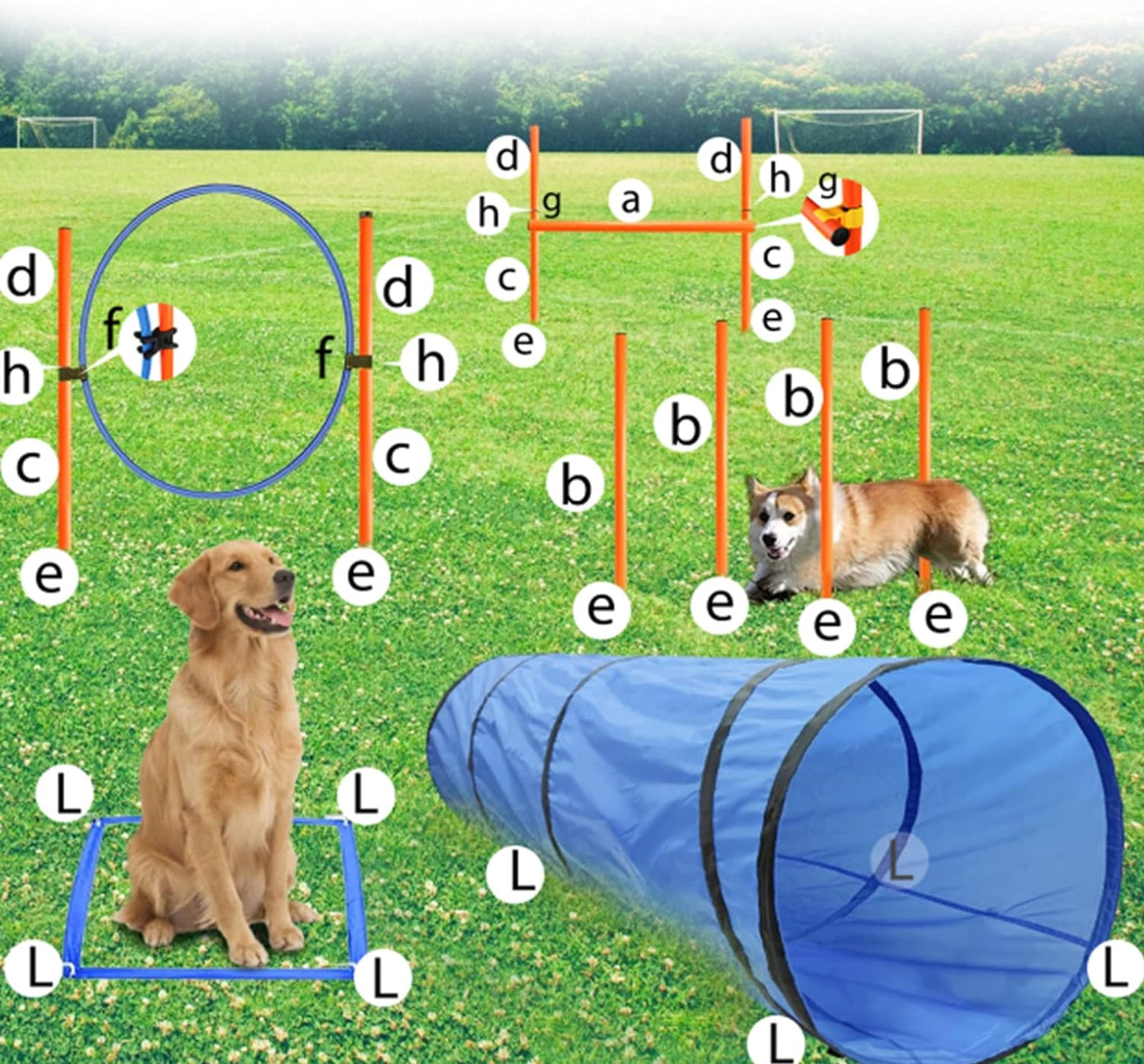 Dog Agility Training Equipment, Obstacle Agility Training Starter Kit for Doggie, Including Tunnel, 13 Weave Poles, Adjustable Hurdle, Jump Ring, Pause Box and Carrying Bag(Blue)