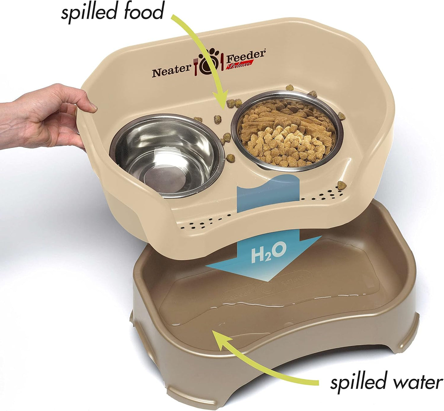 Neater Feeder Deluxe Mess Proof Dog Bowls Elevated Medium Sized Dogs (19-40 lbs) Made in USA, No Spill Raised Dog Food Bowl Stand w/Leg Extension, Stainless Steel Food and Water Bowl Set, Cappuccino