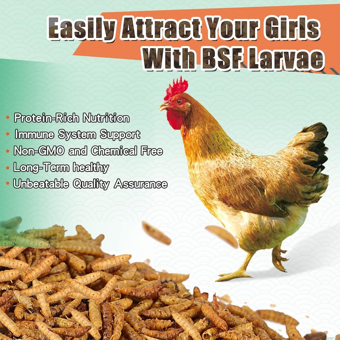 Dried Black Soldier Fly Larvae 22LBS, 85X More Calcium Than Mealworms High-Protein BSF Larvae Chicken Treats Non-GMO BSFL for Chickens, Hens, Ducks, Wild Birds