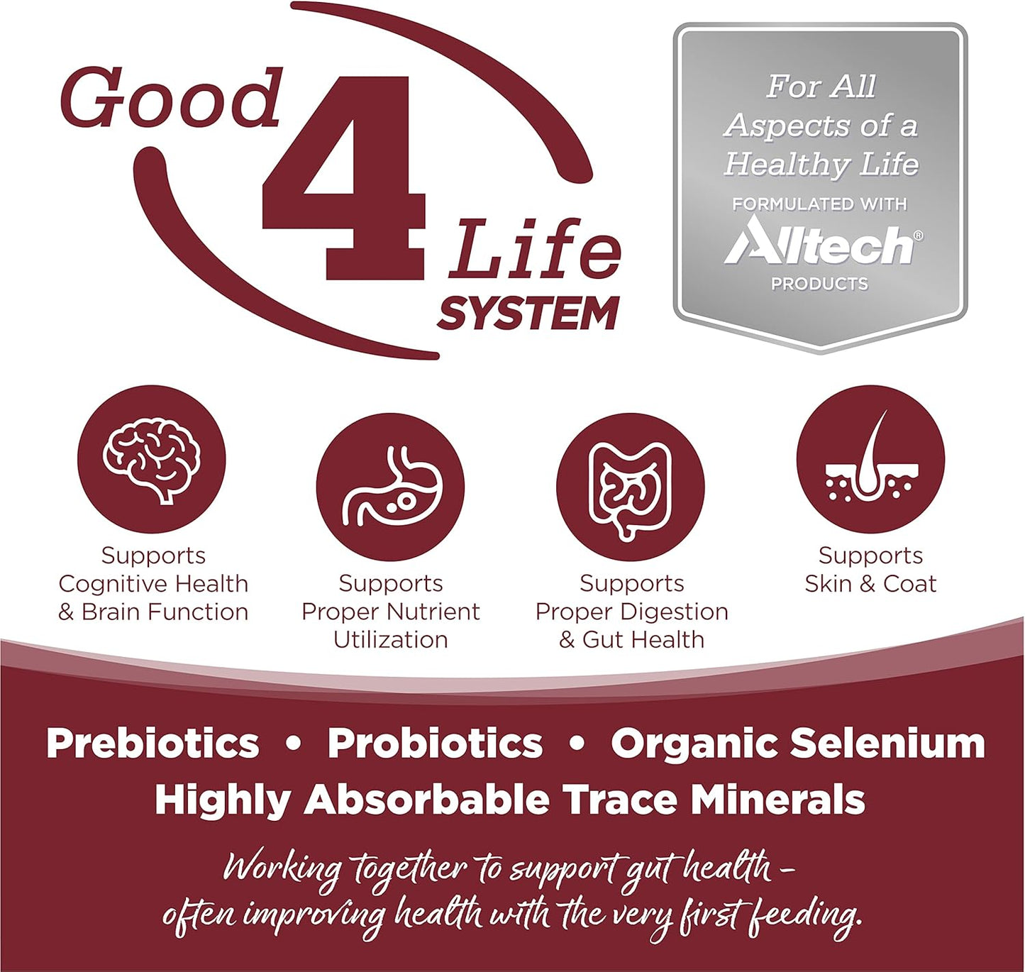 NutriSource Dog Food, Made with Beef and Brown Rice, with Wholesome Grains, 30LB, Dry Dog Food