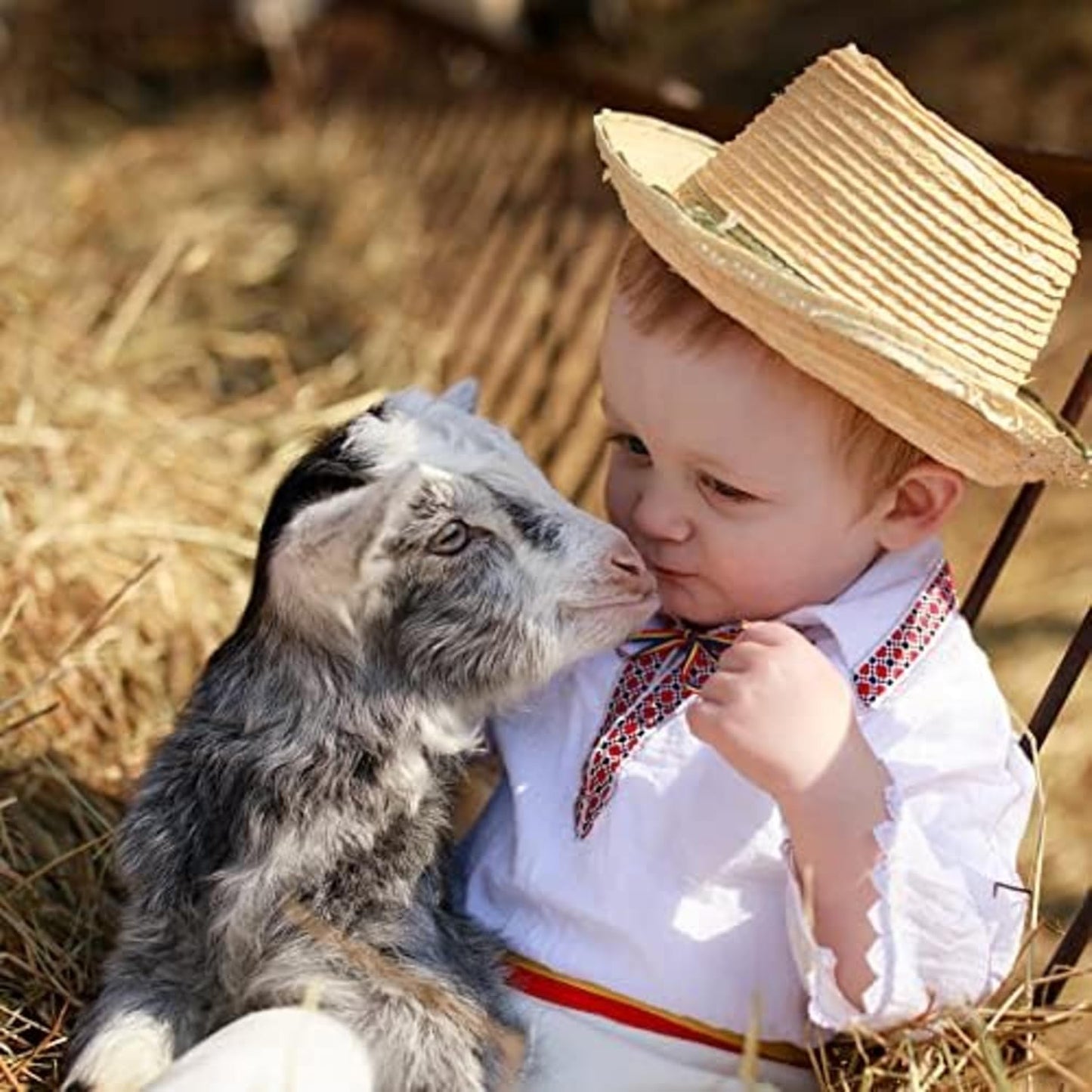 Blue Mountain Hay | Fresh Timothy Hay (24 Ounce) | Great for All Ages | High-Altitude Hay Pet Food for Rabbits, Guinea Pigs, Chinchillas, Hamsters, and Other Small Pets