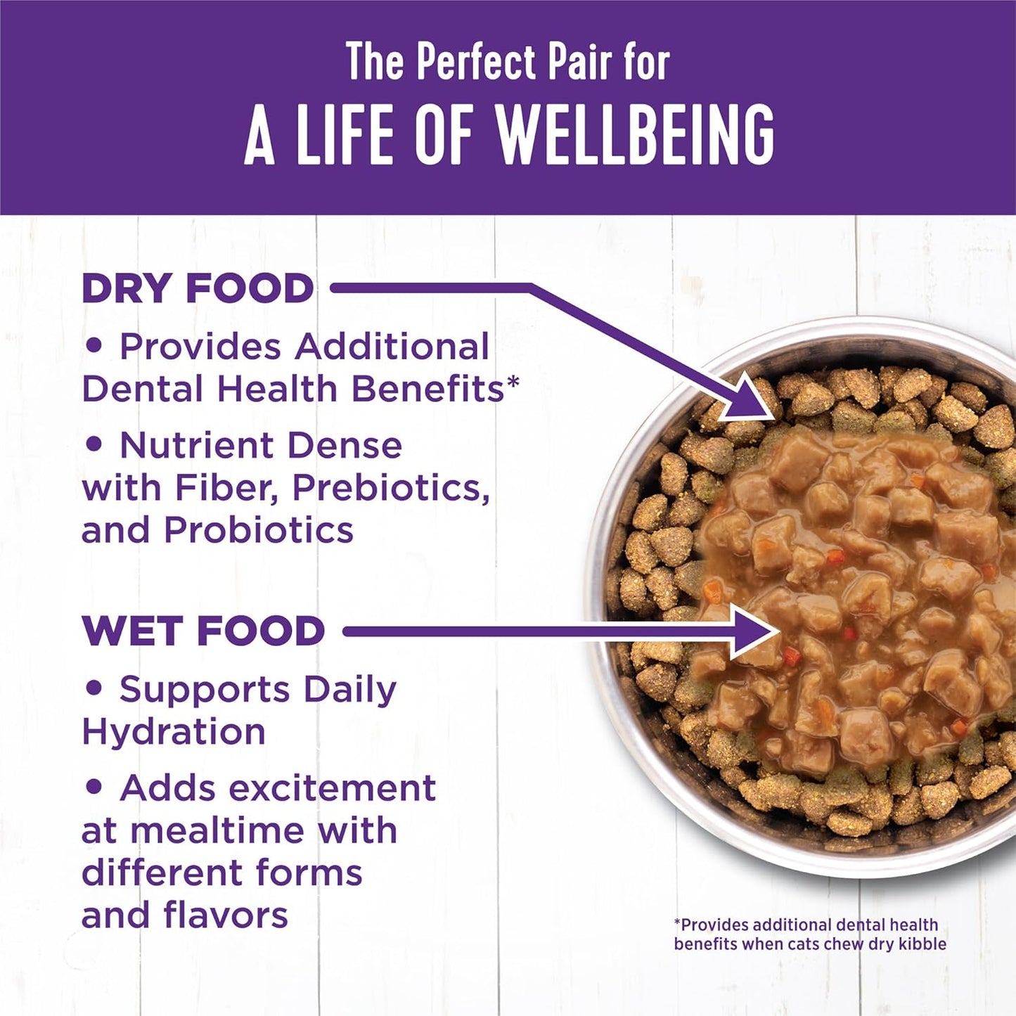 Wellness Complete Health Gravy Adult Wet Cat Food, Natural, Protein-Rich, Grain Free, 3 Ounce, 12 Pack, (Chicken Dinner)