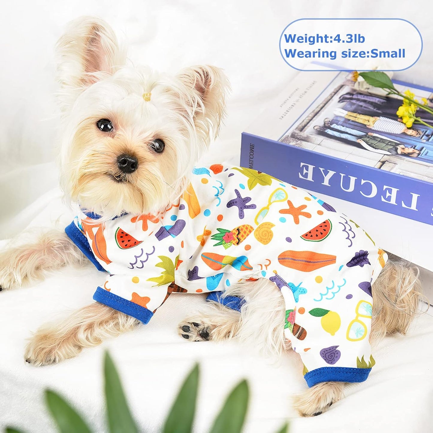 Dog Pajamas Pjs Fall Summer Dog Clothes for Small Dogs Girl - Boy - Medium Size Dogs, Soft Stretchy Puppy Clothes Doggie Onesies Cat Pet Jammies Outfit (Beach, Large)