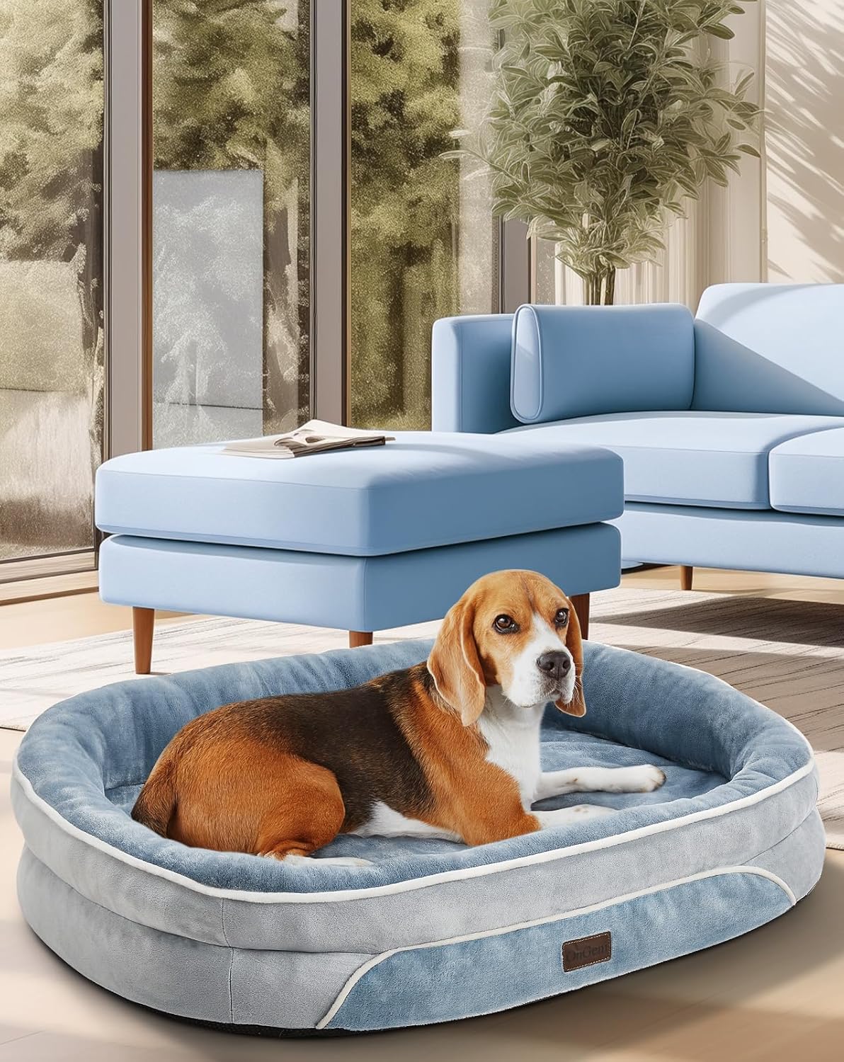 OhGeni Orthopedic Dog Couch Pet Sofa Large Sized Cat Beds with Comfort Foam Support, Soft Comfortable Fabric, Machine Washable Waterproof Removable Cover, 35-Inch (Washed Blue)