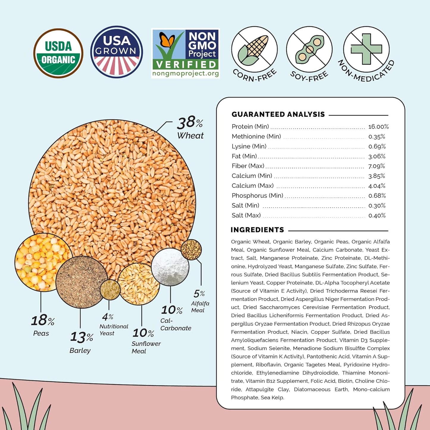 Organic Chicken Feed – Layer Mash, Non-GMO, USA Grown, 16% Protein, Corn-Free, Soy-Free, Non-Medicated Feed for Chickens, 46 lbs