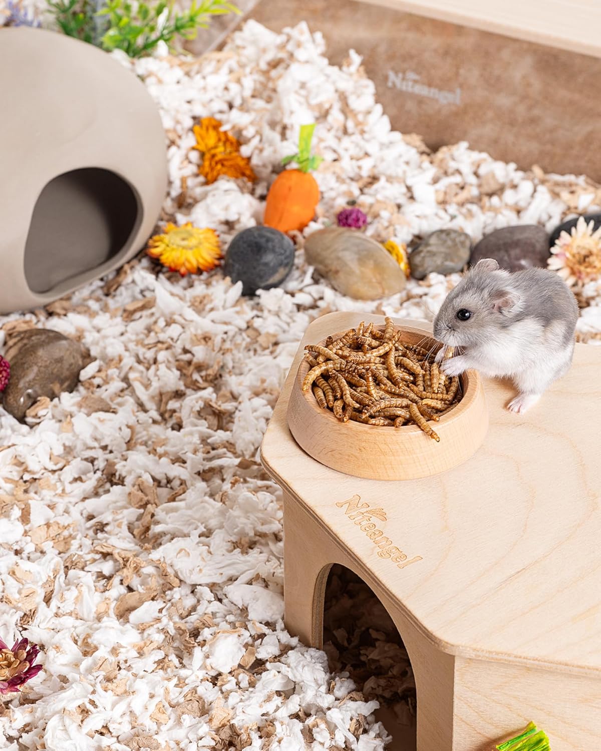 Niteangel Small Animal Snack & Treats - Small Critter Natural Treat for Dwarf Syrian Hamsters Gerbils Mice Sugar Glider Hedgehogs Chickens Birds