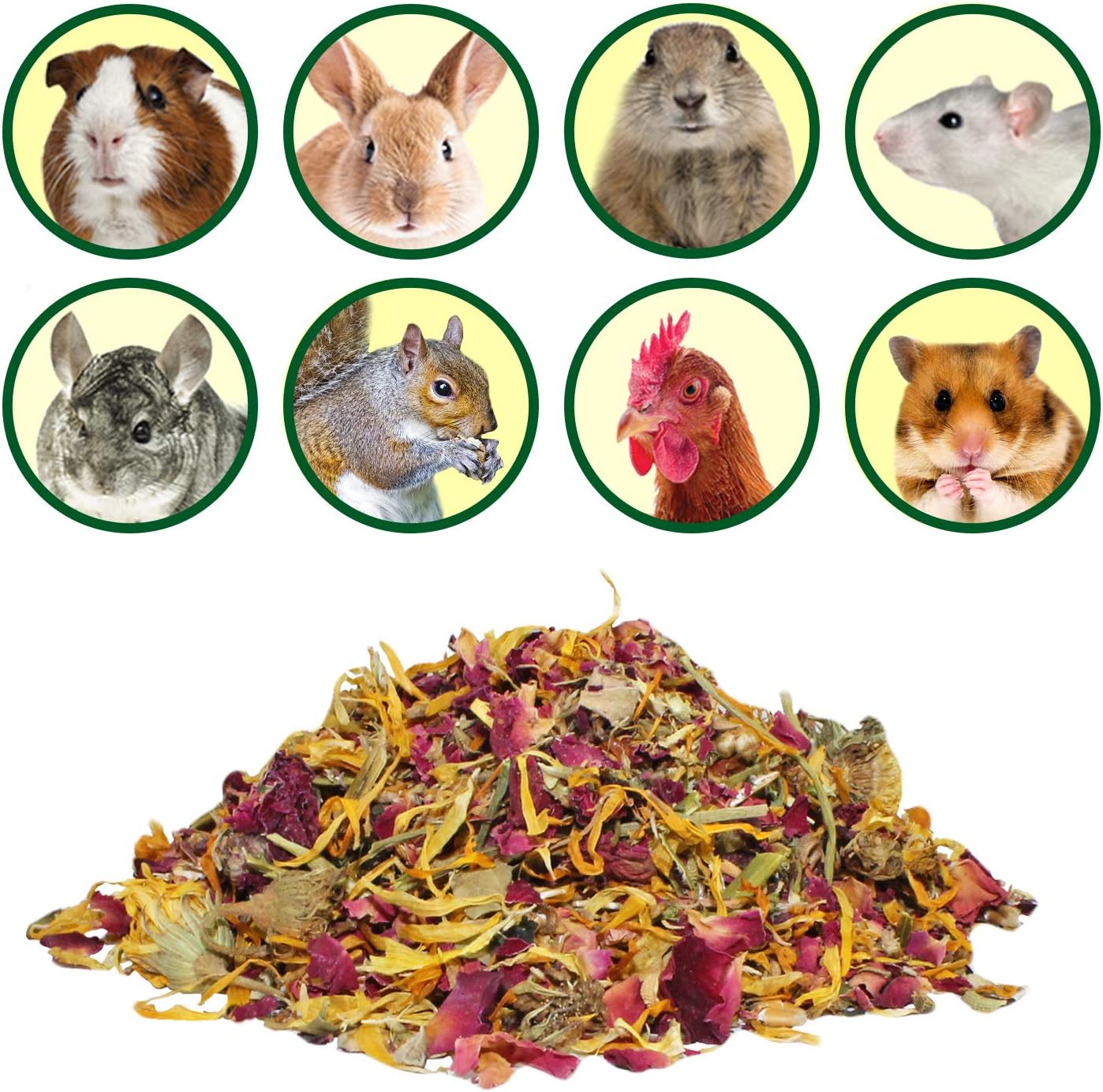 Exotic Nutrition Flower Treat 3 Pack - Healthy Assortment - Hibiscus, Calendula, Rose - for Squirrels, Guinea Pigs, Rabbits, Chinchillas, Prairie Dogs, Degus, Hamster, Gerbils, & Other Herbivores