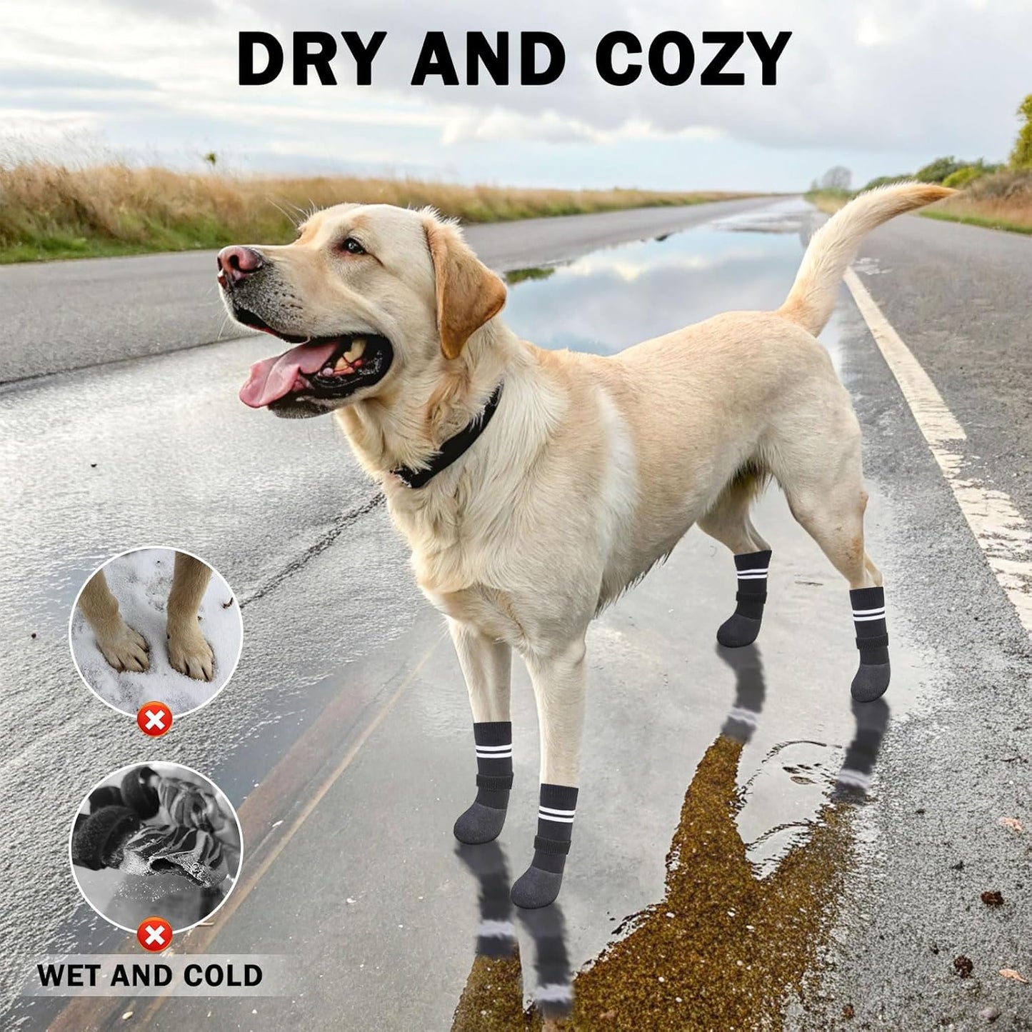 SCENEREAL Anti Slip Dog Boots & Paw Protectors for Hardwood Floor, Extended Dog Socks to Prevent Licking Paws, Waterproof Pet Snow Rain Shoe for Winter Medium Senior Dogs, Black M