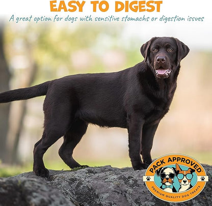 Lamb Tripe - Single Ingredient & Dehydrated Dog Treats - Lamb Dog Treats for Sensitive Stomach - No Hide Chews Tripe - 10oz