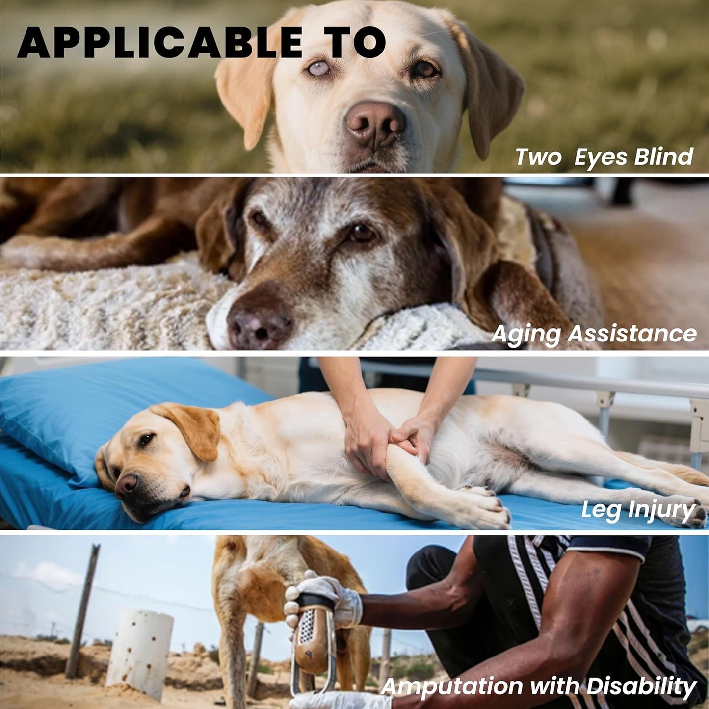 Dog Lift Harness Backpack Carrier for Large Dogs, Full Body Sling with Handle, Dog Harness for Joint Injuries, Arthritis, Ideal for Stairs, Elderly Dogs (Black Large 20-29 LBS)