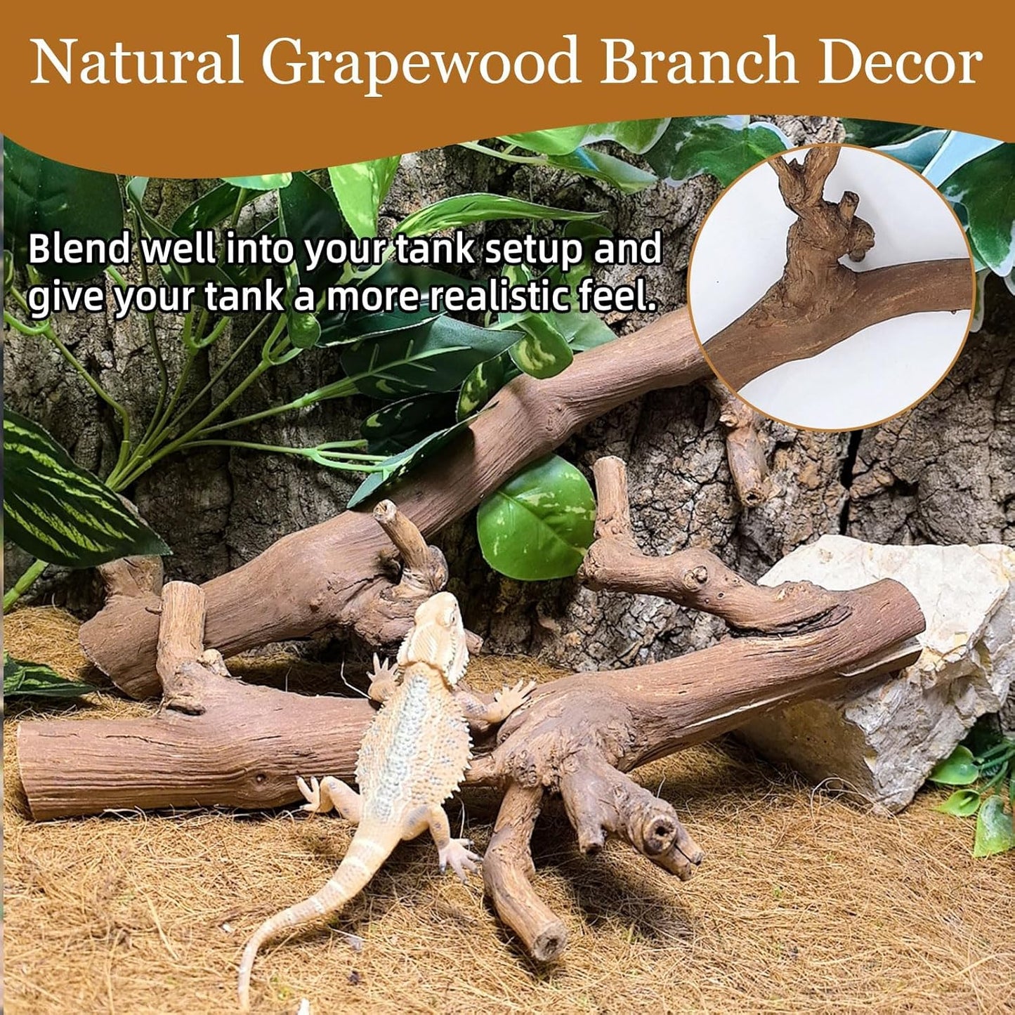 kathson 2PCS Snake Climbing Branch,Reptile Wood Branches Decor, Lizard Natural Wood Climb Accessories,Reptiles Habitat Tank Tree Trunk Decorations for Bearded Dragon Geckos Chameleons Frog