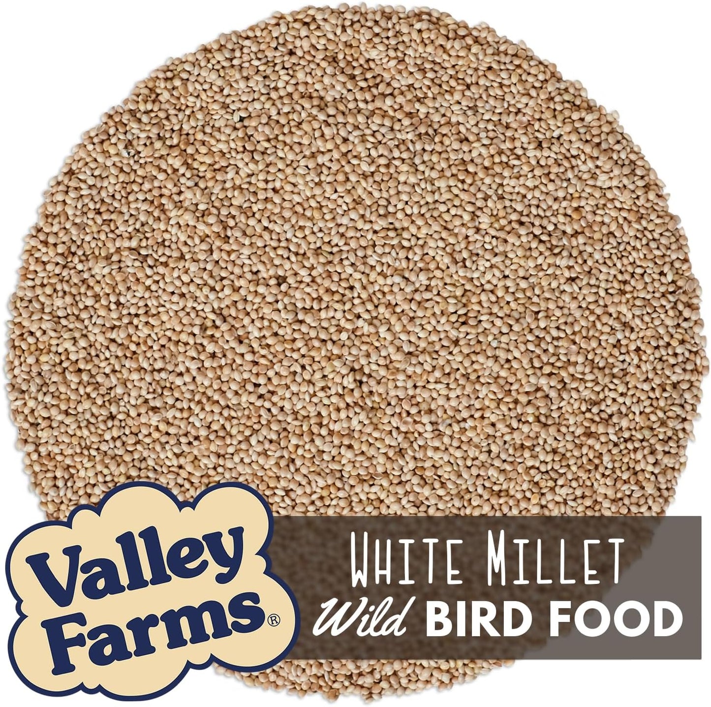 Valley Farms White Millet Wild Bird Seed 5 LB 2-Pack (10 LB Total) for Outside feeders, White proso Millet, Bird Watcher Secret Wild Bird Food