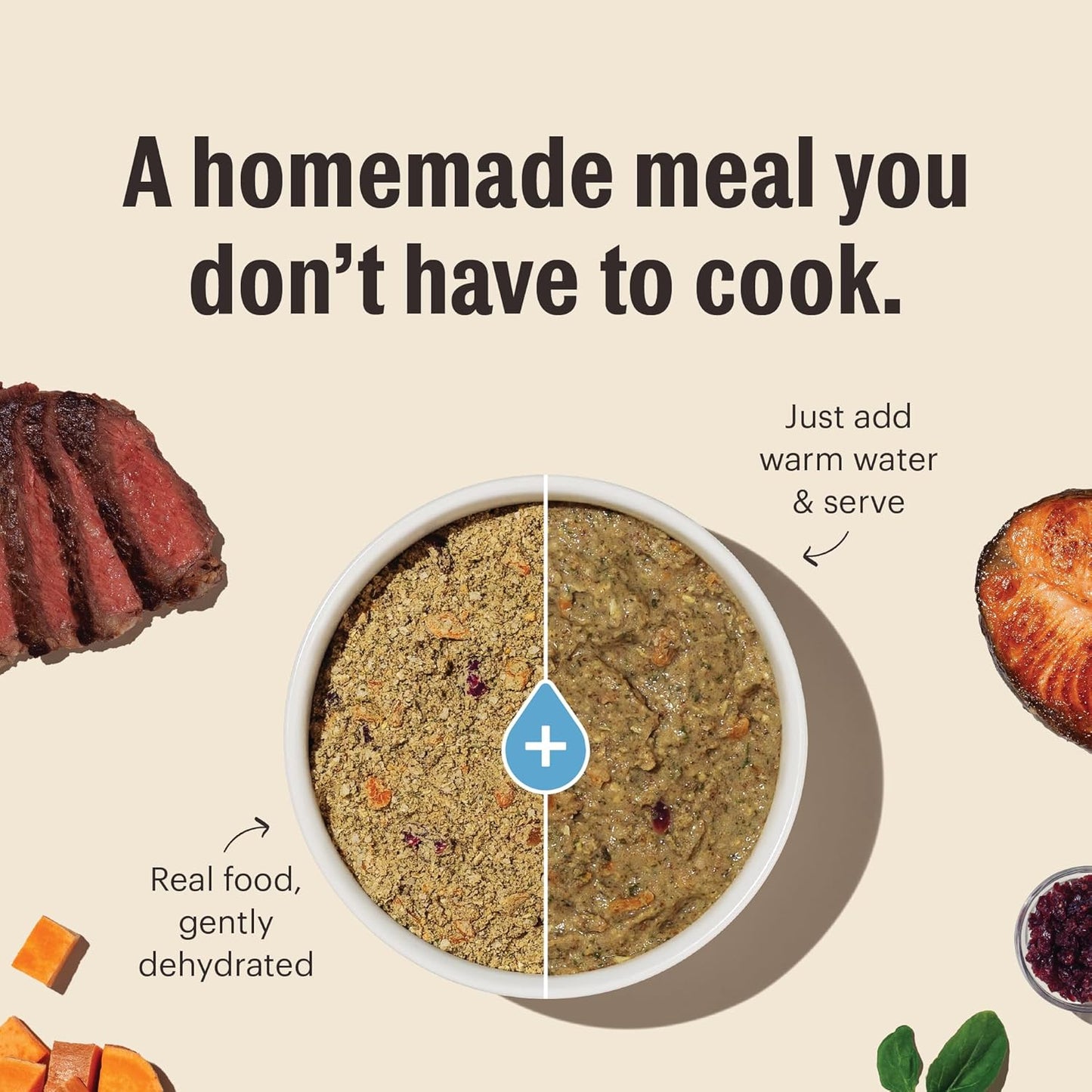 The Honest Kitchen Wholemade™ Limited Ingredient Beef Dog Food, 10 lb Box