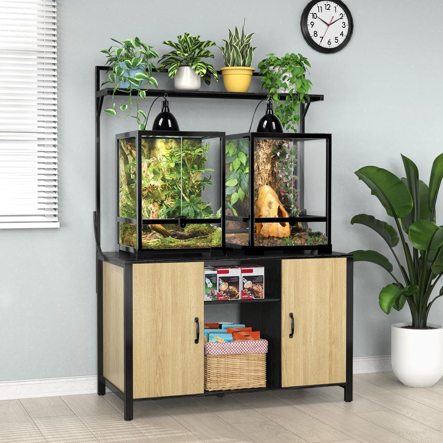 GDLF Reptile Tank Stand Terrarium Stand with Cabinet for Accessories Storage 48" X 24" Tabletop Fits up to 120 Gallon Bearded Dragon, Reptile Terrarium,Turtle Tank,Natural Wood Color