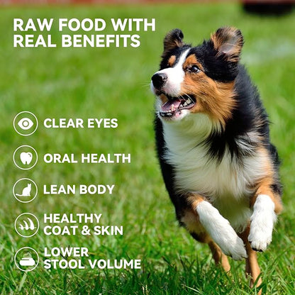 OPET Freeze Dried Cat & Dog Treats,Single Ingredient High Protein Grain Free Crunchy Cat Treats,Healthy Training Treats (Pack of 10, Chicken & Duck)