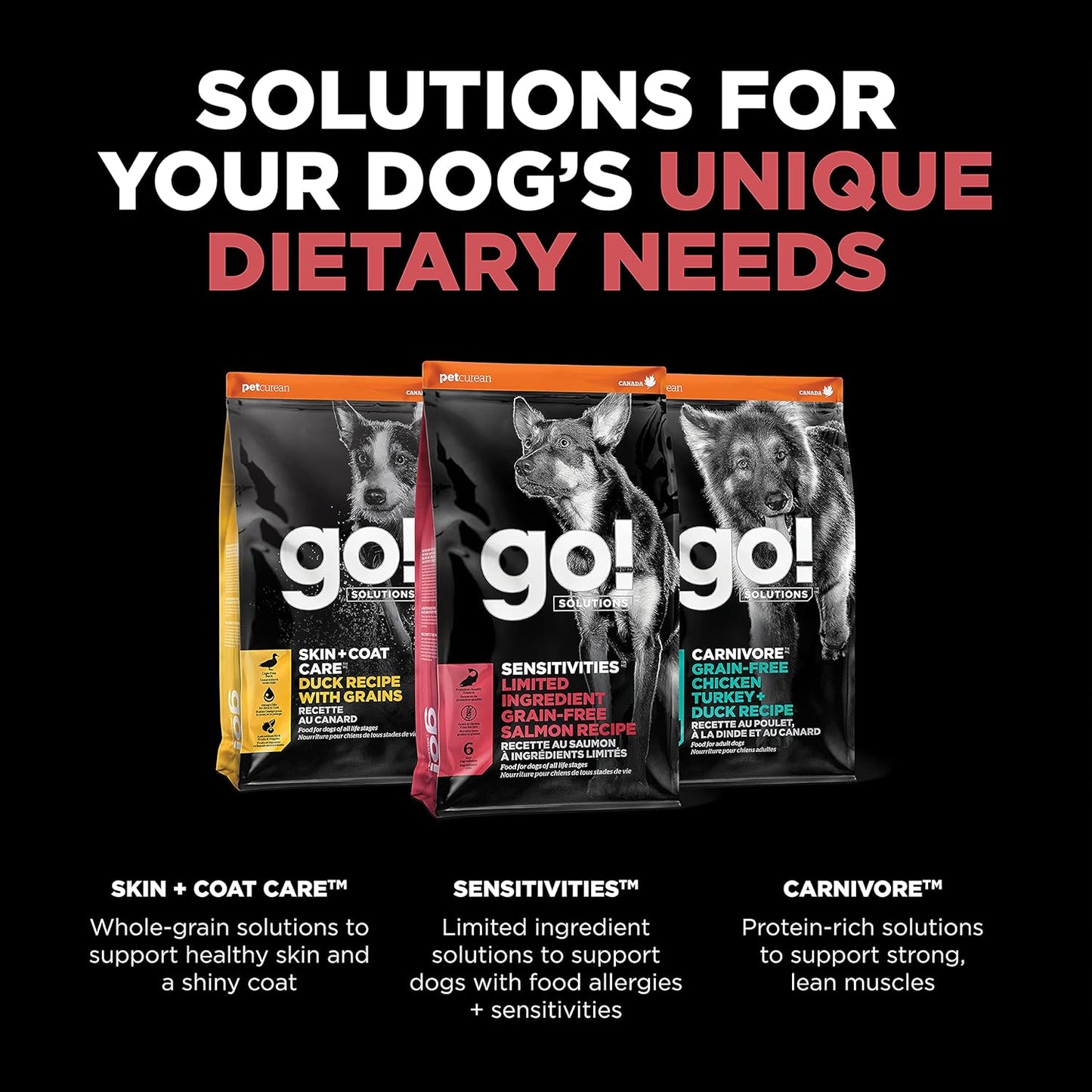 Go! Solutions Sensitivities Limited Ingredients, Grain-Free Dry Dog Food, Salmon Recipe for Sensitive Stomach, 12 lb Bag