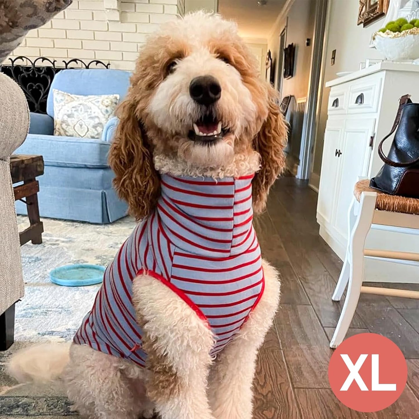 KYEESE 2Pack Dog Sweater Warm Dogs Clothes Stretchy Dachshund Clothes Turtleneck Dog Sweaters for Medium Dogs Girl Soft Pet Coats Turtleneck Pets Sweatshirt