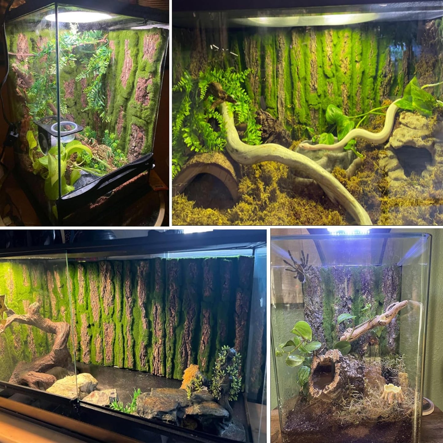 kathson Reptile Cork Terrarium Background Decor Climbing Mat Habitat Fitting Bark Backdrop Wall Artificial Moss for Lizard Gecko Bearded Dragon Chameleon(3 Pcs)