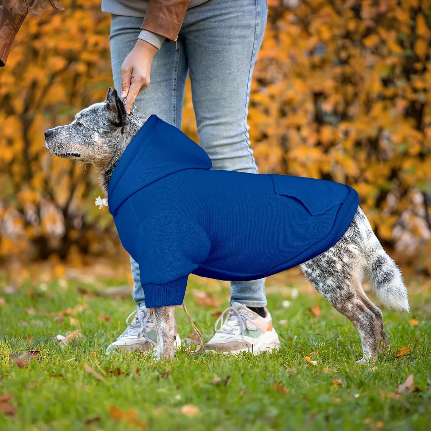 Dog Sweaters for Large Dogs Dog Hoodie Pet Sweater Solid Soft Brushed Fleece Pet Clothes Hoodie Sweatshirt with Pocket(Blue-XL)