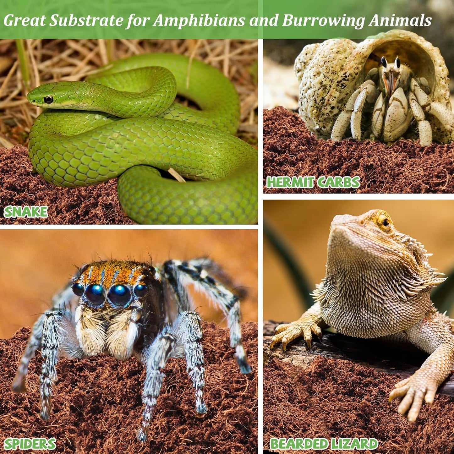 Riare 10LBS Natural Coconut Fiber Substrate for Reptile- Premium Compressed Coconut Husk Terrarium Bedding for Reptile, Tortoise, Frogs, Snakes, Hermit Crabs, Burrowing Animals