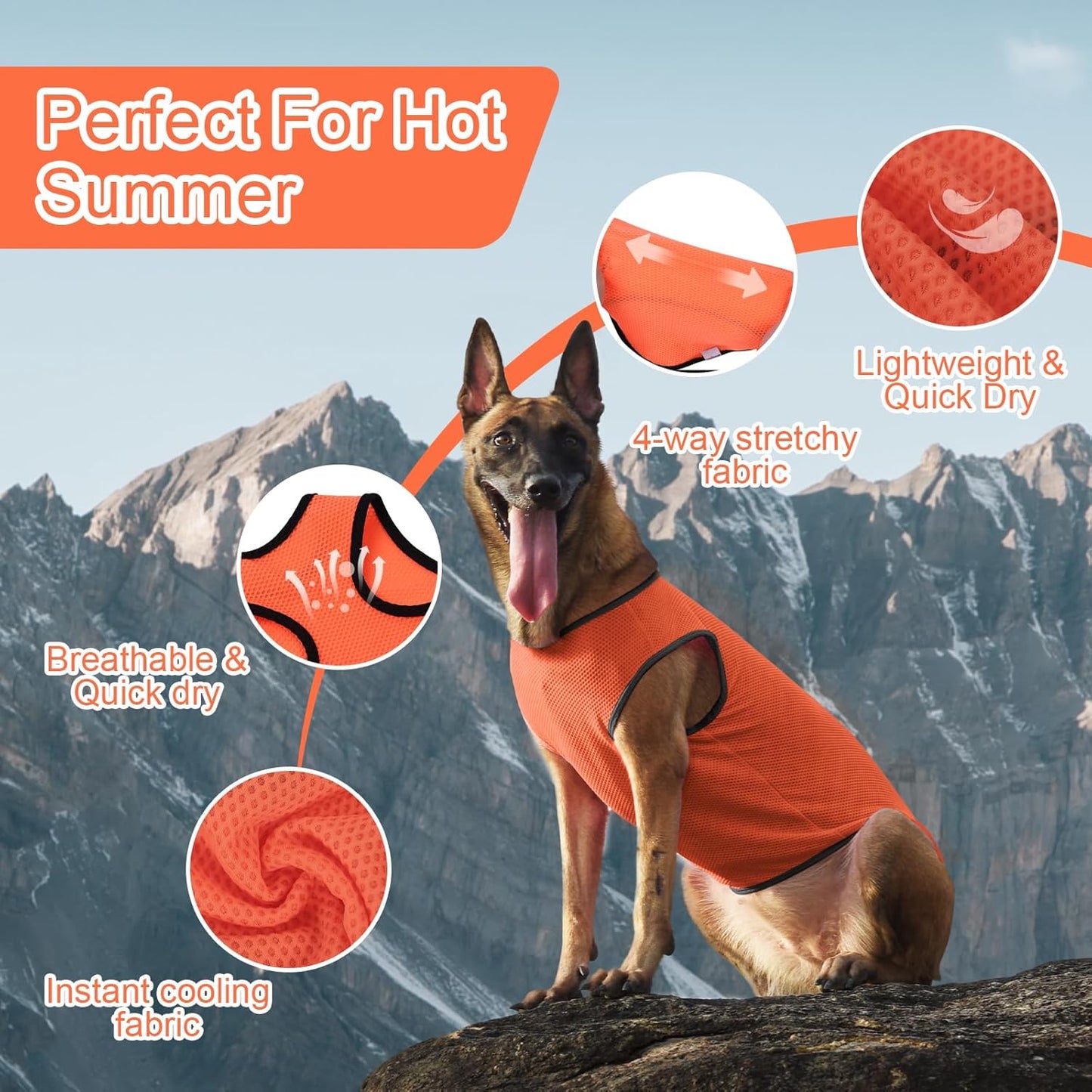 2 Pack Cooling Shirts for Dogs, Lightweight Mesh Breathable Dog Clothes for Small Dogs Boy Girl,Sun-Protection Sleeveless Shirts for Dog&Cat Puppy Vest Pet Apparel - M