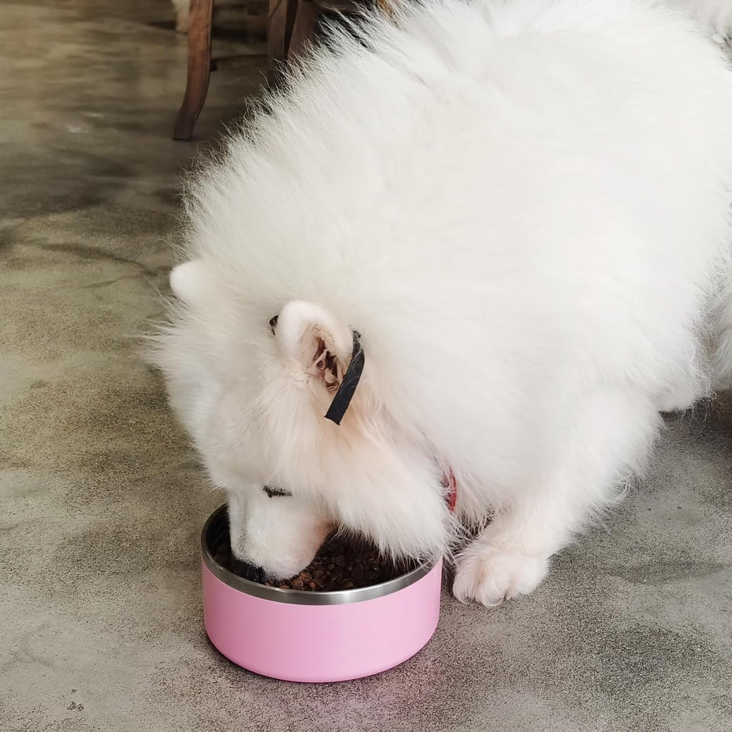 Stainless Steel Dog Bowls for Large Dogs - Insulated, Non Slip, Easy Clean, 40oz, Pink