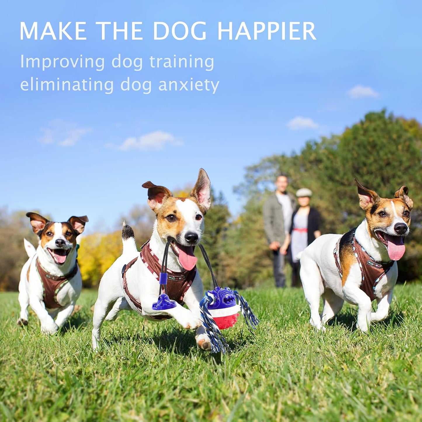 Aggressive Chewer Dog Toys - Rope Toys with Suction Cup, Teething Treats & Puzzle Food Dispensing Ball (Navy Blue)