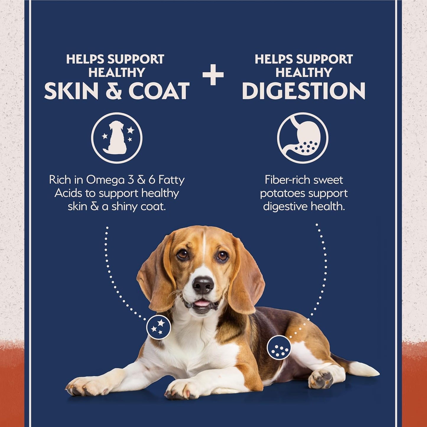 Natural Balance Limited Ingredient Grain Free Salmon & Sweet Potato Dry Dog Food, Sensitive Stomach, 24 lb (Pack of 1)