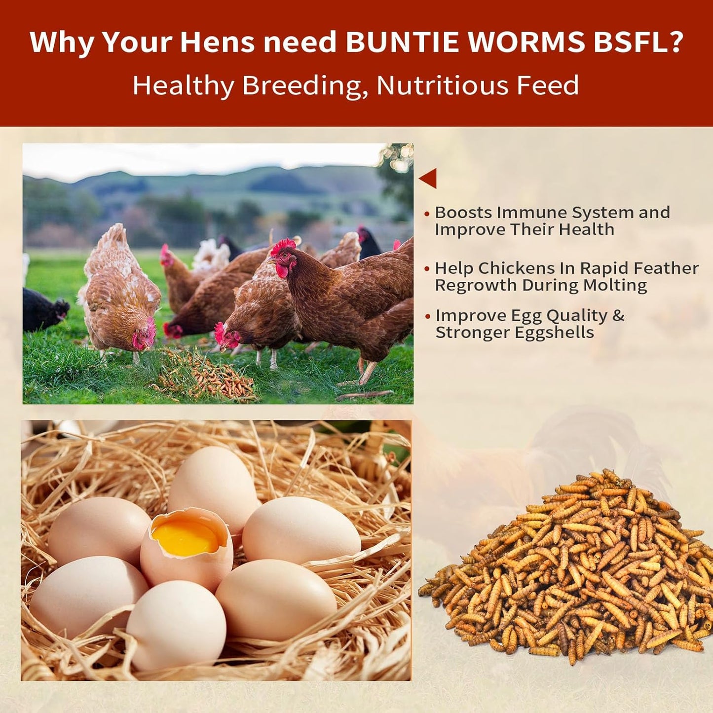 Dried Black Soldier Fly Larvae 5LB, High Protein Chicken Feed, 100% Natural Non-GMO – Treat for Chicken More Calcium Than Mealworms, Food for Laying Hen, Ducks, Wild Birds