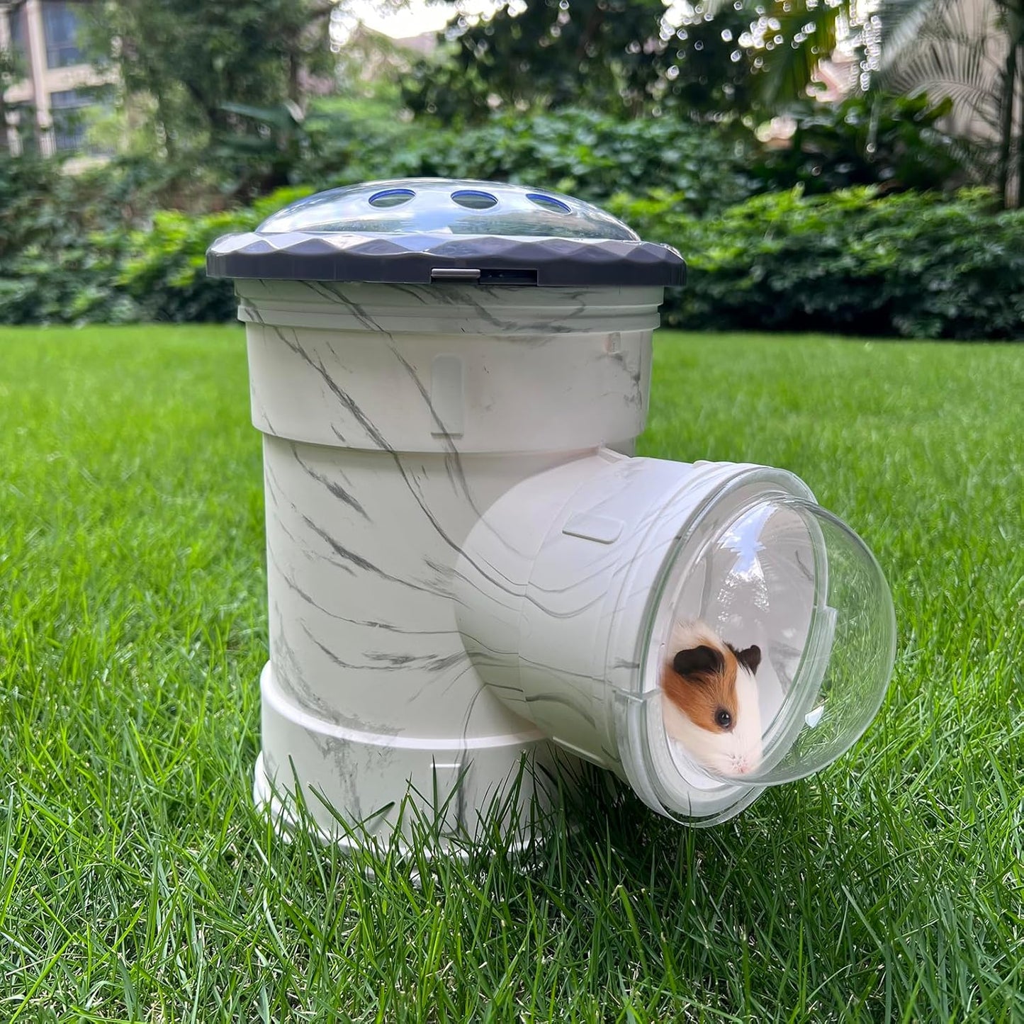 Hamster Carrier Cage, Marble Print Anti-bite and Chewproof Design, Table Chinchillas Cage for Small Guinea Pig Bird Parrot Budgies, Front and Top Ventilation