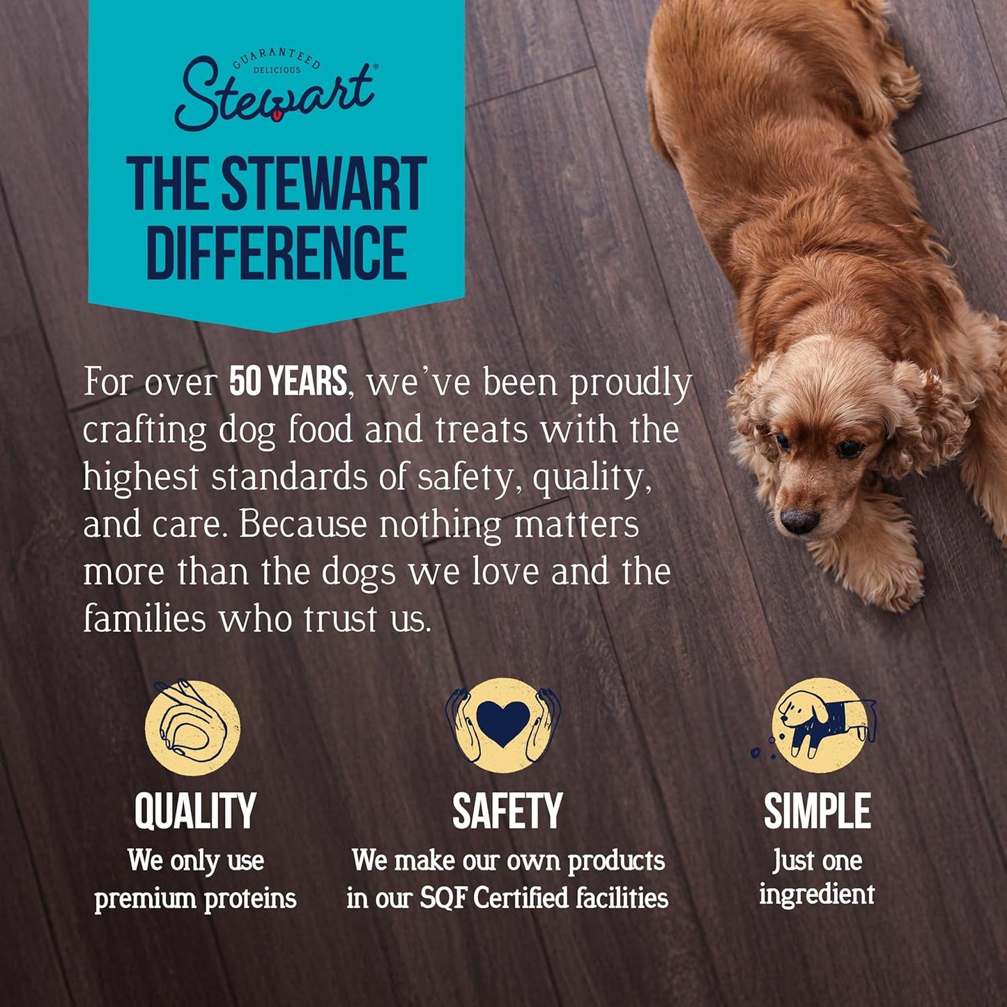 Stewart Single Ingredient Freeze Dried Raw Dog Treats, Chicken Breast, 3 Ounce, Approx. 55 Pieces per Resealable Tub, Training Treats or Meal Topper, High Protein, Grain Free, Gluten Free