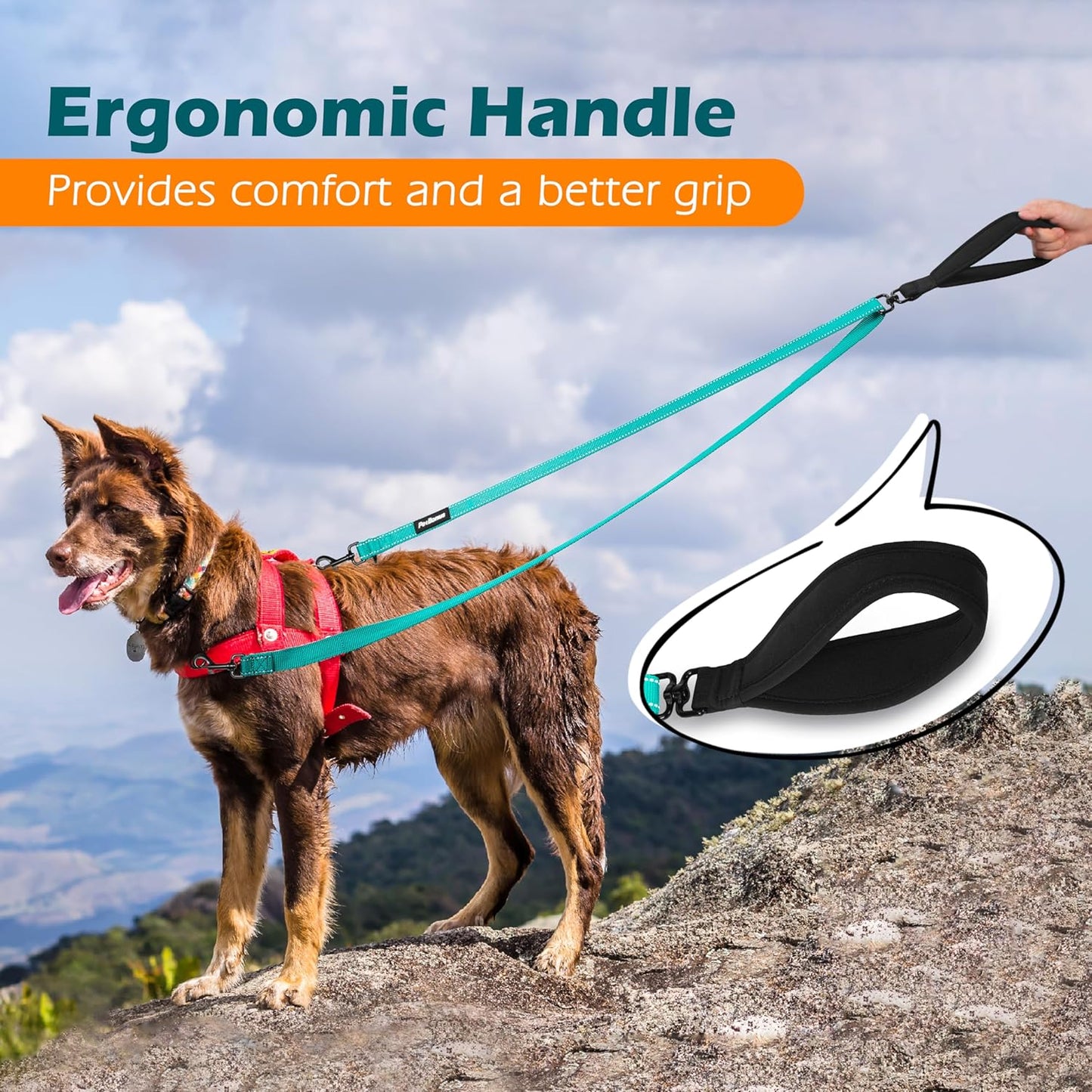 PetBonus Two Point Control Dog Leash, Works with No Pull Harnesses, No Tangle Dog Training Leashes, No Pull Padded and Reflective Walking Lead,Converts to Single Leash for Medium Large Dogs(Turquoise)