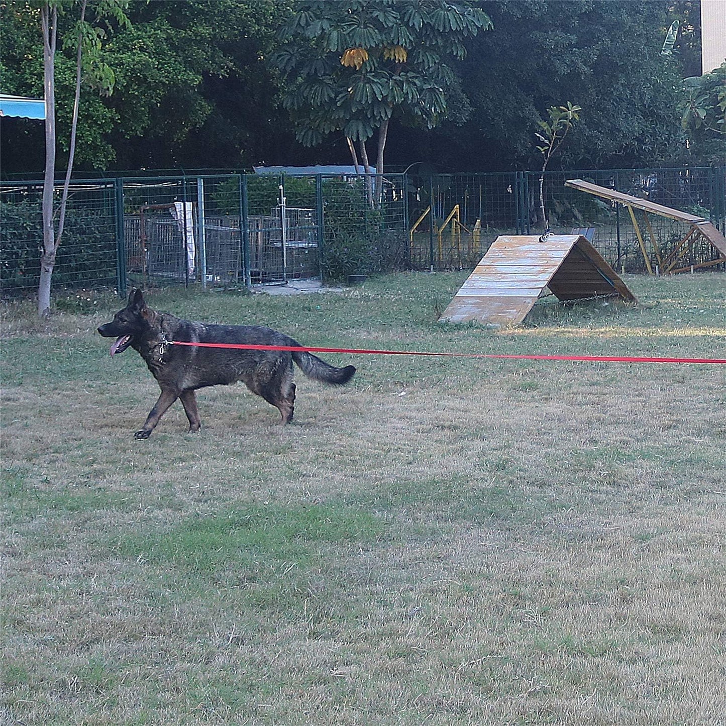 Dog/Puppy Obedience Recall Training Agility Lead - 15ft 20ft 30ft 40ft 50ft Training Leash - Great for Play, Camping, or Backyard - Pink 30ft