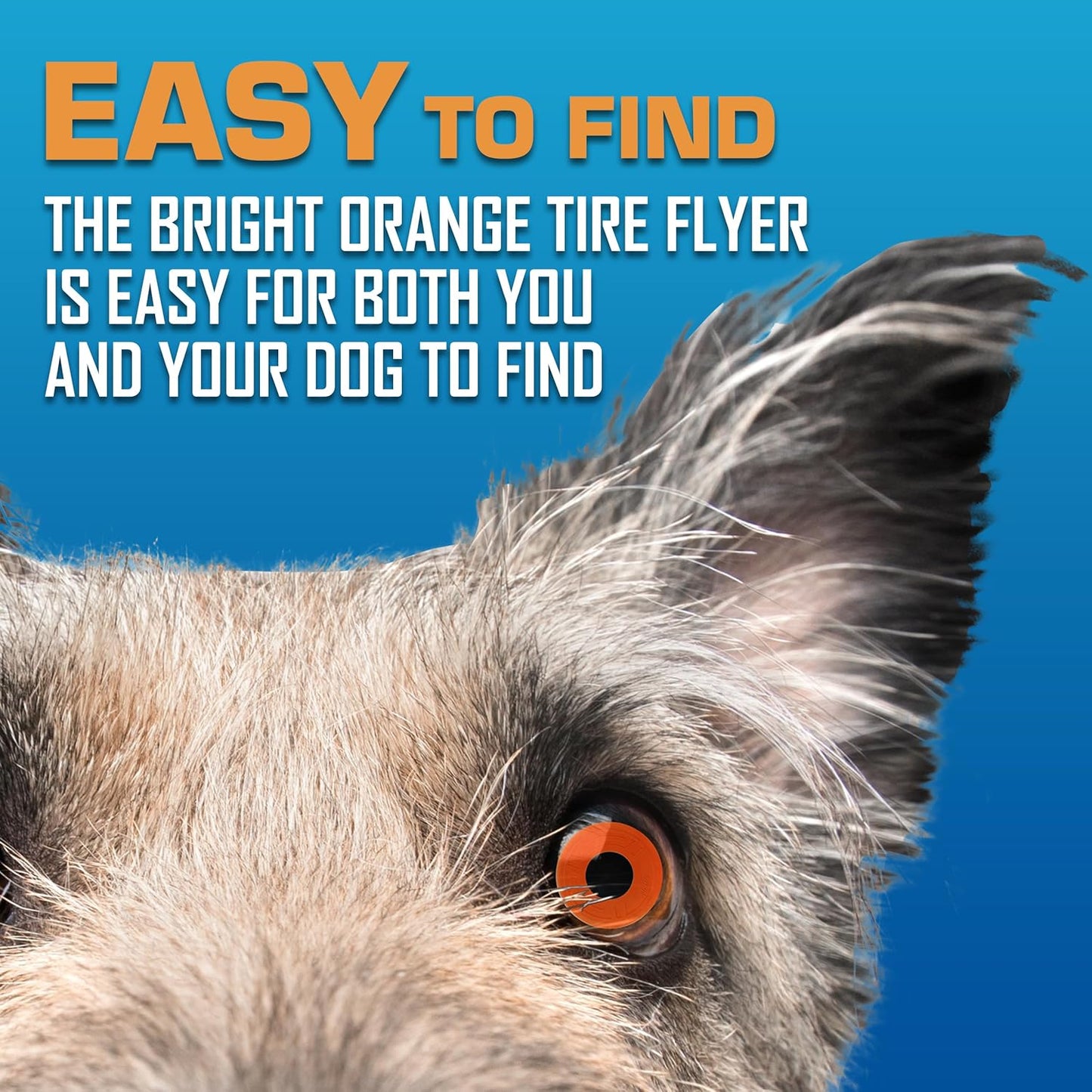 Nerf Dog Atomic Flyer Outdoor Dog Toy, 10 Inch Flying Disc Dog Fetch Toy, Rubber Dog Toy for Medium Dogs and Large Dogs, Orange