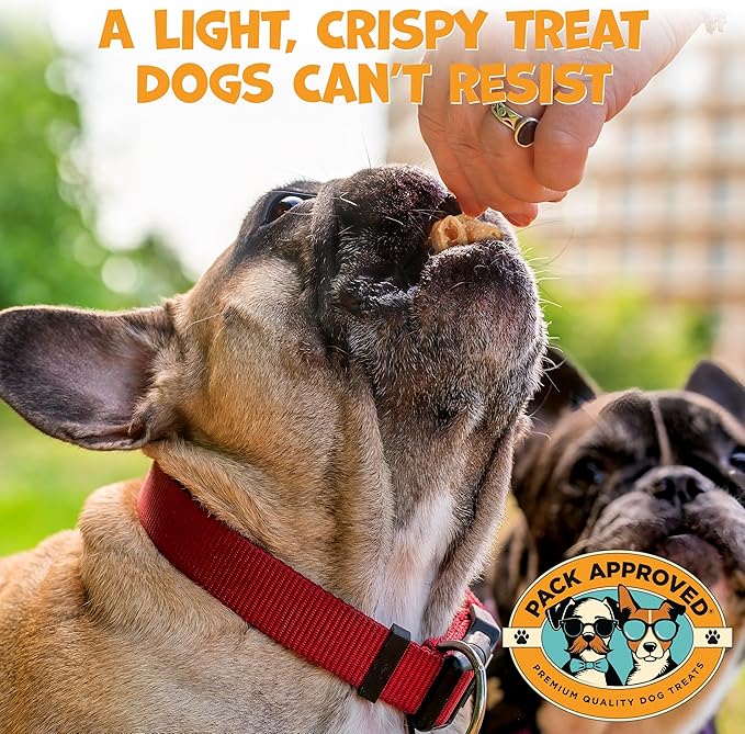 Lamb Tripe - Single Ingredient & Dehydrated Dog Treats - Lamb Dog Treats for Sensitive Stomach - No Hide Chews Tripe - 10oz