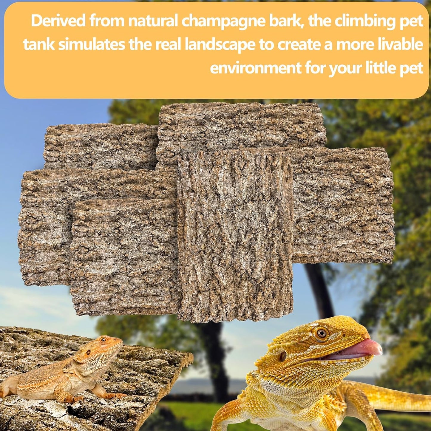 6PCS Cork Terrarium Background 15.7x11.8in Natural Large Cork Bark Backdrop Reptile Climbing Mat Tank Habitat Decor for Spider Lizard Chamelon Turtle Beared Dragon