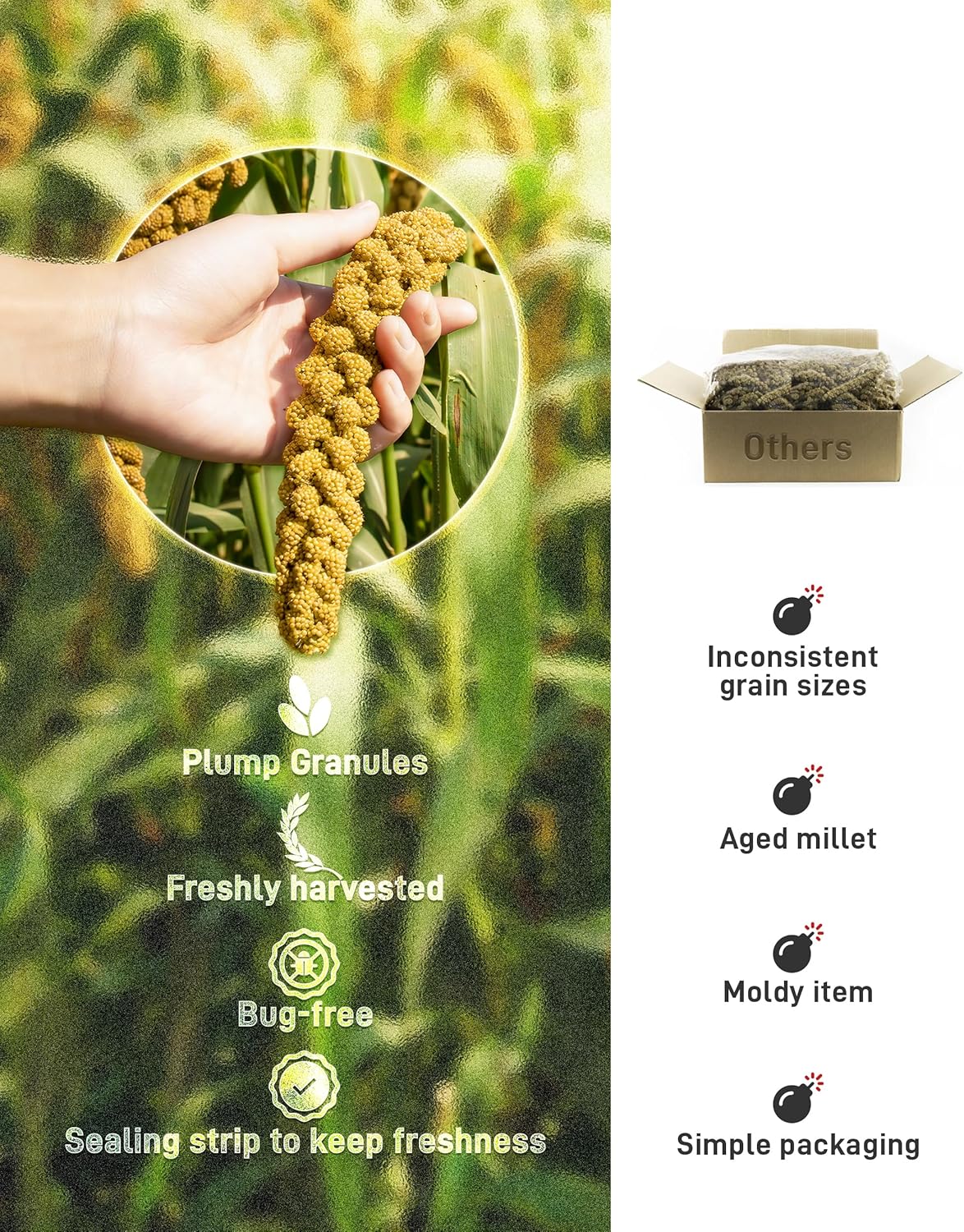 BUCATSTATE Spray Millet for Birds, Sun-Dried Healthy Millet Parakeet Treats for Parrots Cockatiel Lovebird Finch, GMO-Free Parakeet Food - 1.1lb